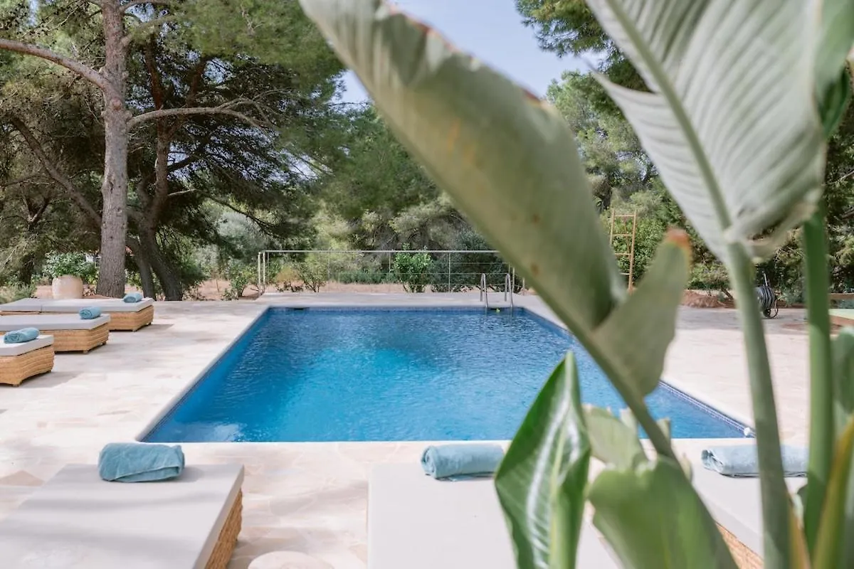 Beautiful Property 3 Minutes Near Cala Jondal BALEARIC ISLANDS