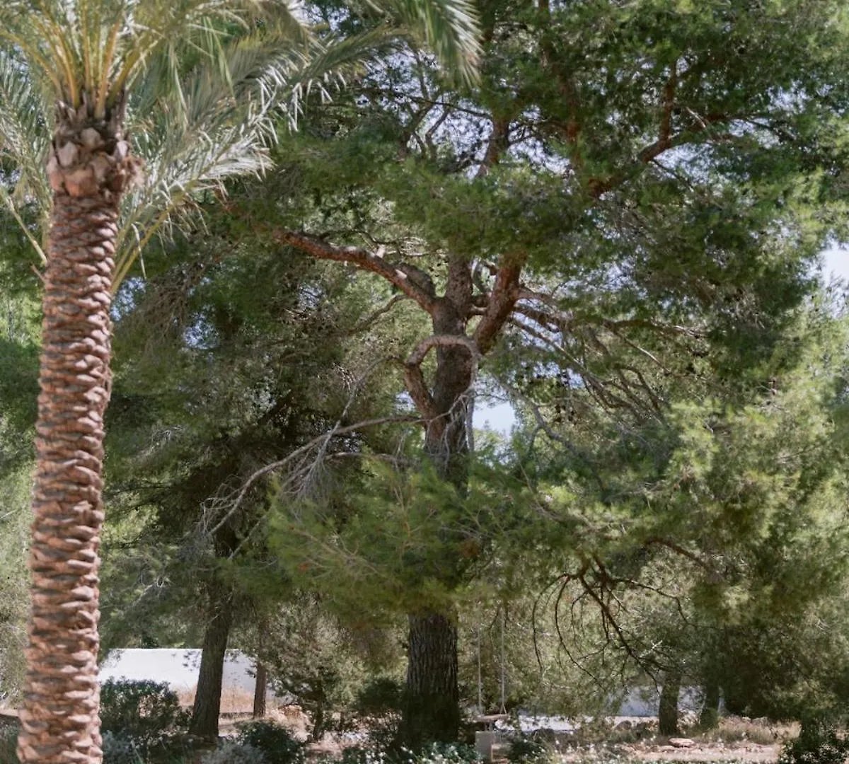 Beautiful Property 3 Minutes Near Cala Jondal BALEARIC ISLANDS 0*,